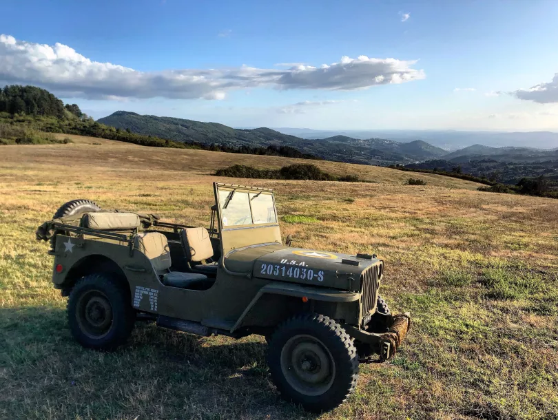 morviduk-willys-4603860.jpg