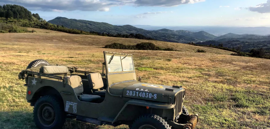 morviduk-willys-4603860.jpg
