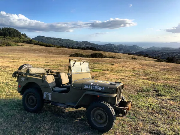 morviduk-willys-4603860.jpg